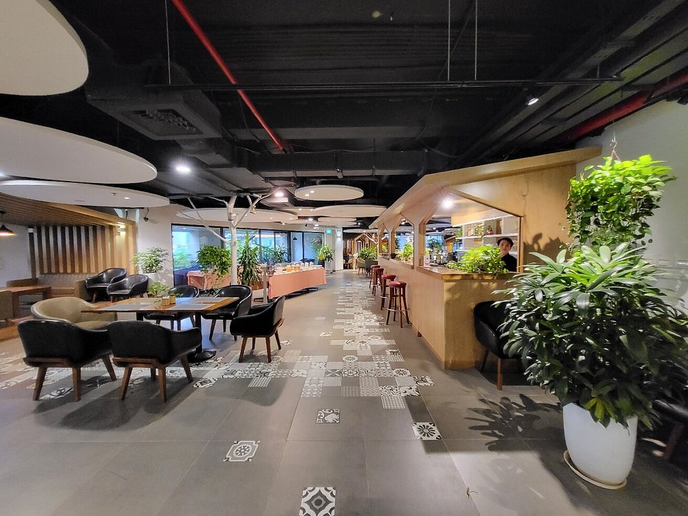 Green social spaces at Dream